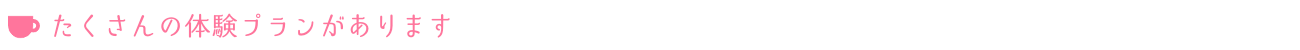体験プラン
