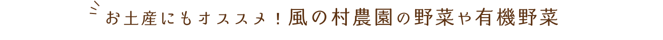 お土産にもオススメ！風の村農園の野菜や有機野菜