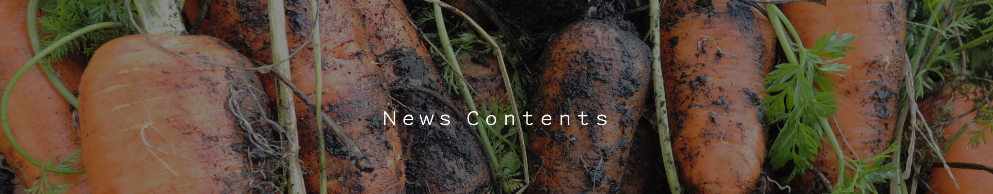 NewsContents